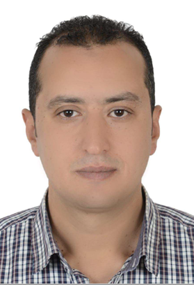 Mohamed Fawzi Hassan Elardi