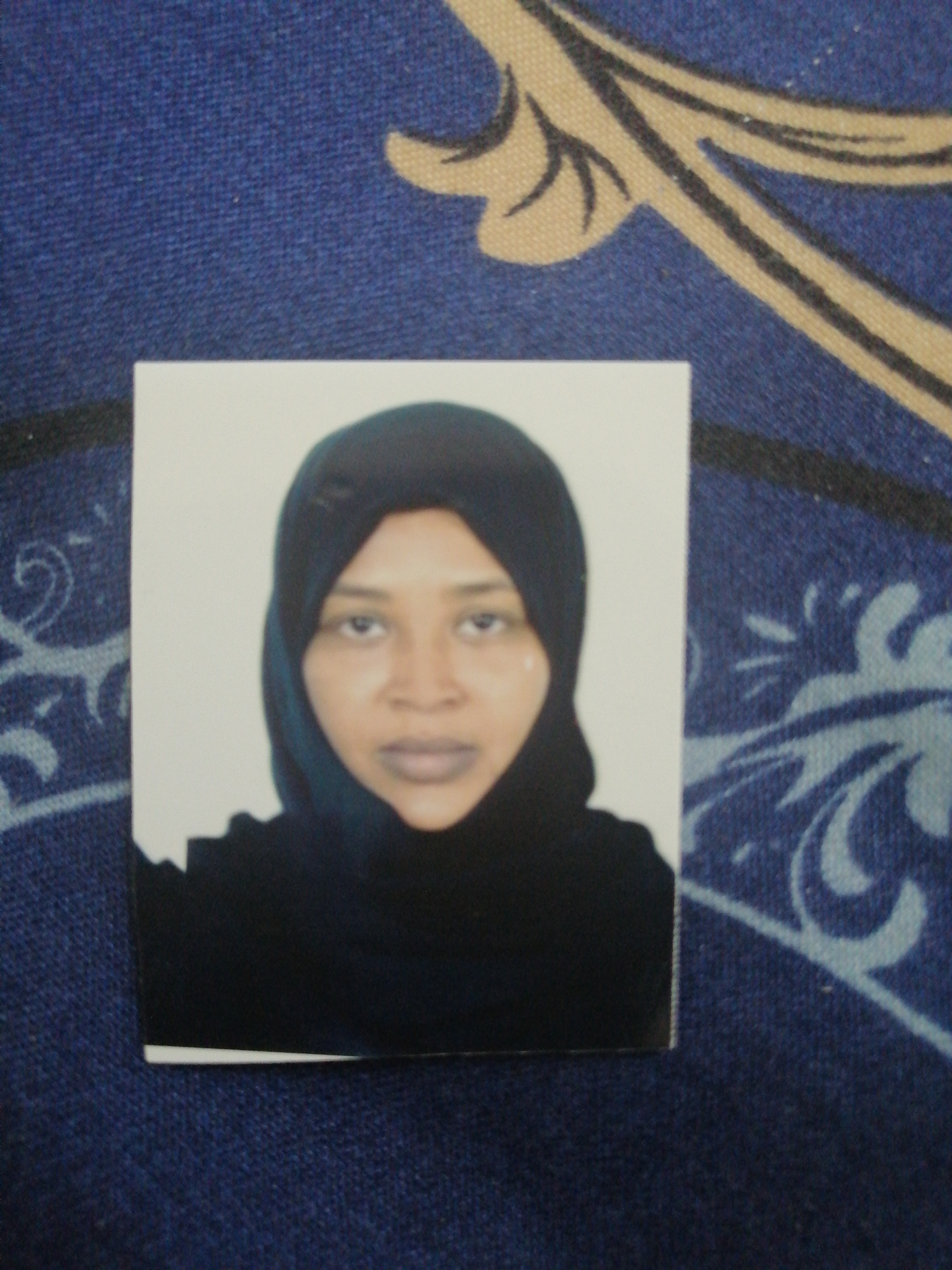 Samia Abdalmontalib Elbasheir Taha