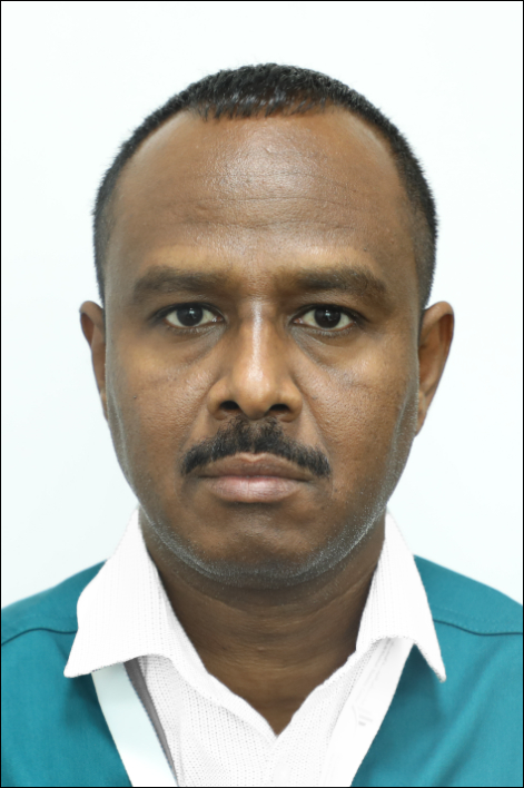 Mohammed Seddik Hammed Ahmed