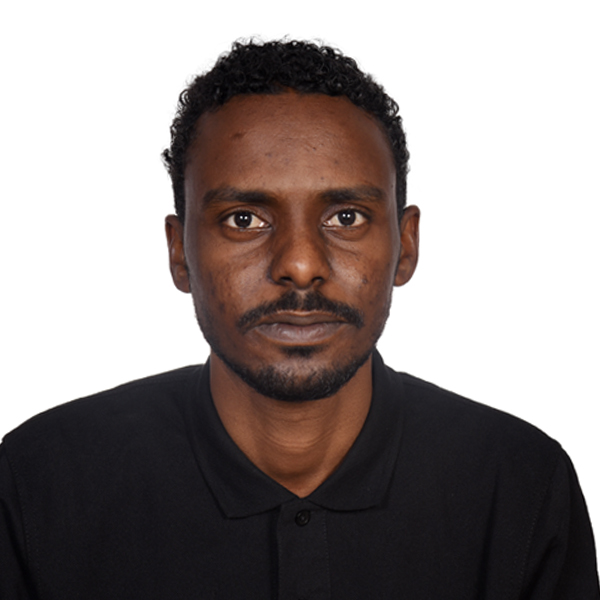 Hamza Elmahdi Ahmed Mohammed