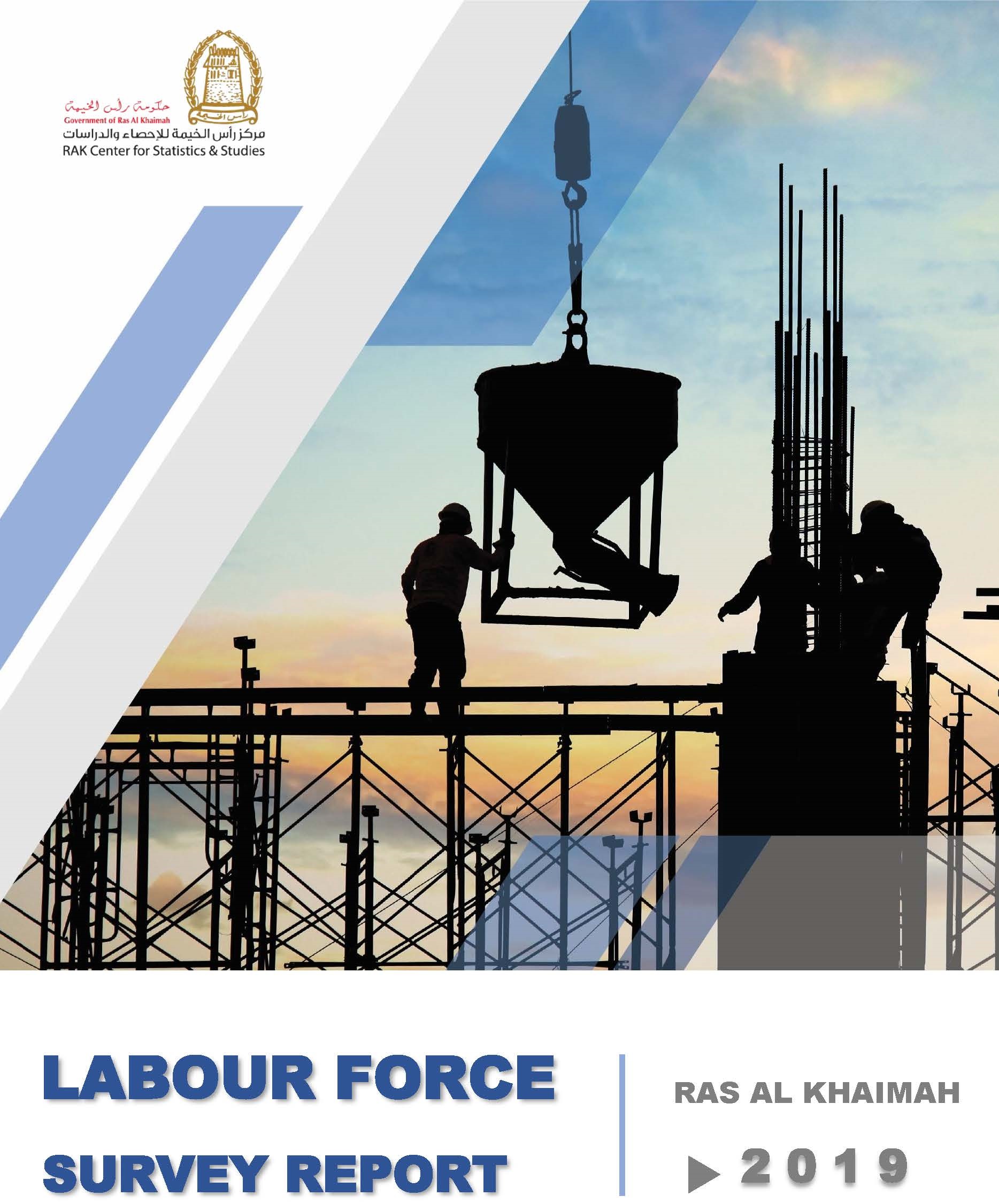 2019 Labour Force Survey Report picture